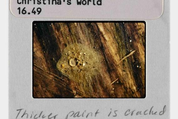 A (Much) Closer Look at <em>Christina’s World</em>